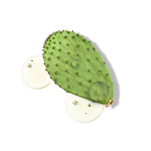 Pure Match Liquid Concealer 2N